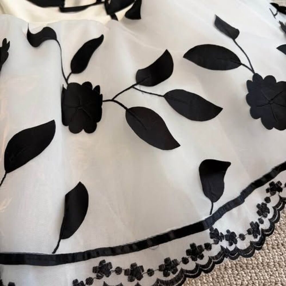 White Ballet Tutu with Black Floral Embroidery - Picture 4 of 8